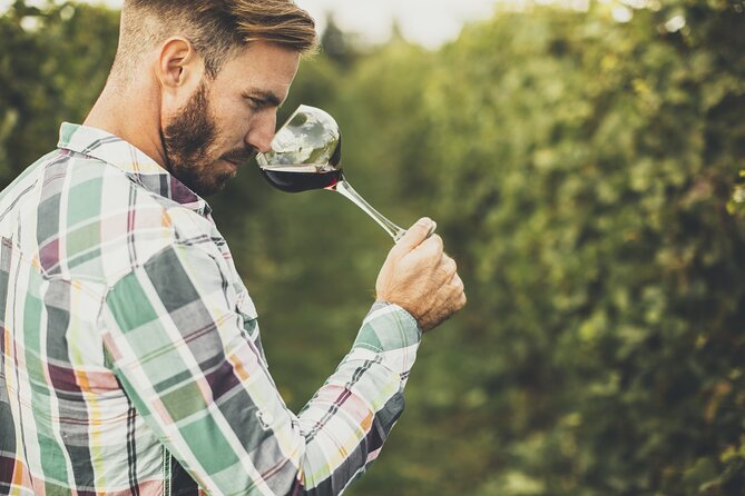 Winery Tour and Tasting in Tenerife with the Sommelier - Listán Negro and Malvasía: The Grapes You’ll Hear About