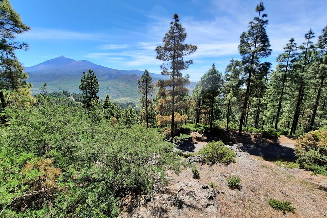 Wonderful hike through the Magic Forest of Tenerife - Stop and setting: Natural Park of Teno from the first steps