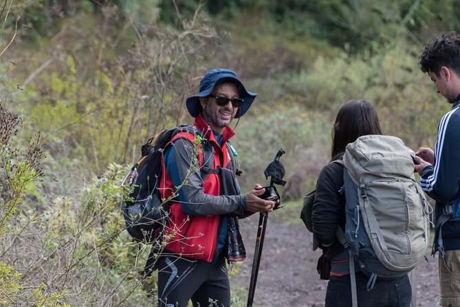 Wonderful hike through the Magic Forest of Tenerife - What the hike feels like: forest science plus big views