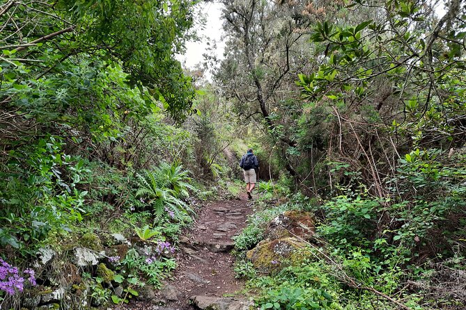 Wonderful hike through the Magic Forest of Tenerife - Your guide (Sergio Walking Tours): the difference between walking and being led